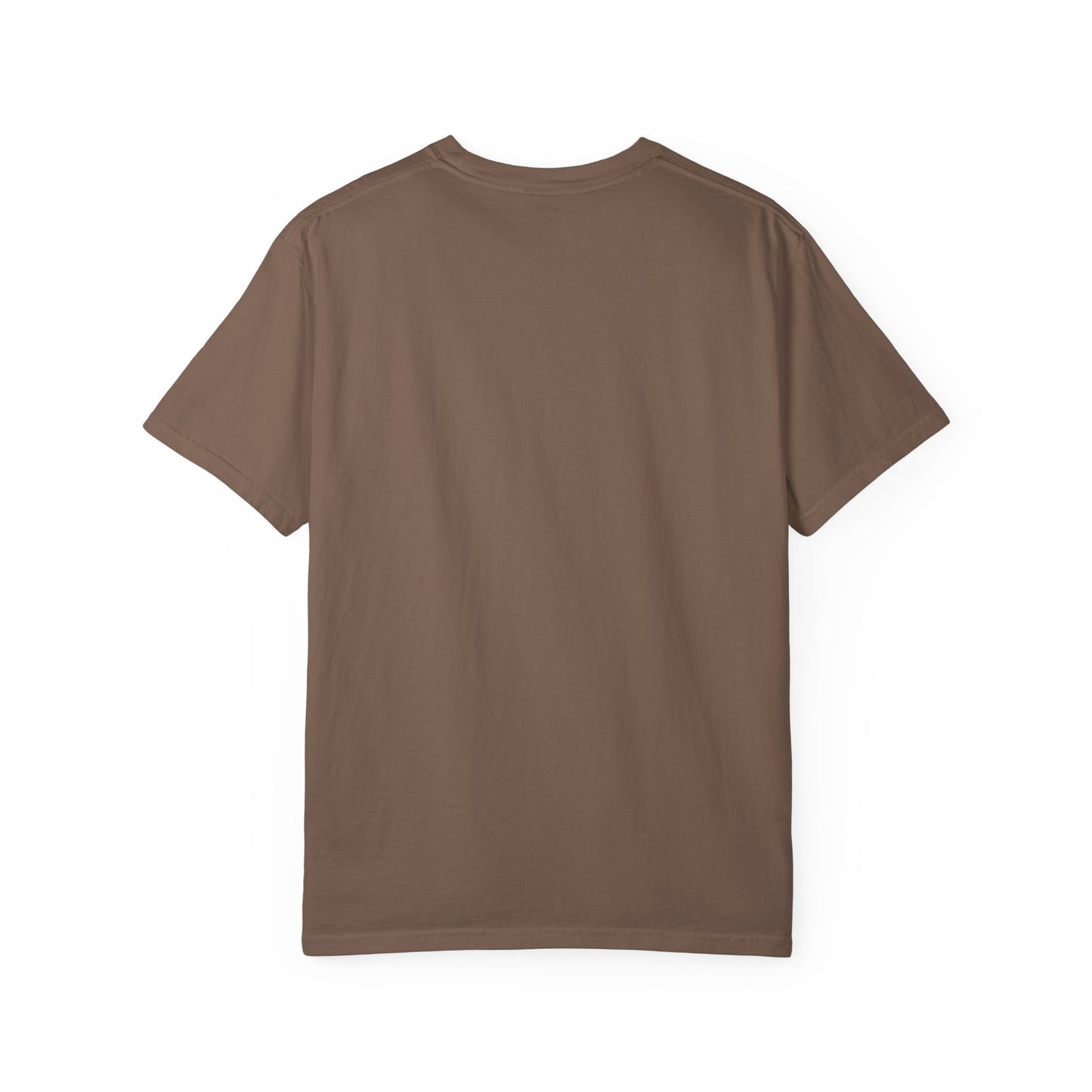 Cardinal Football Collage - Comfort Colors T Shirt