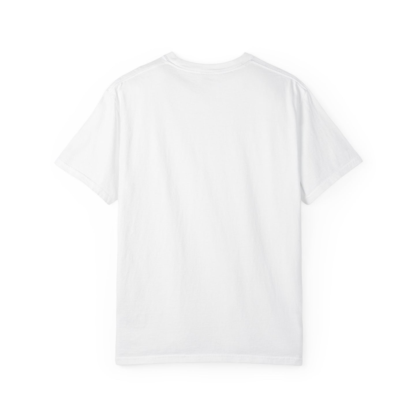 Cardinal Football Collage - Comfort Colors T Shirt